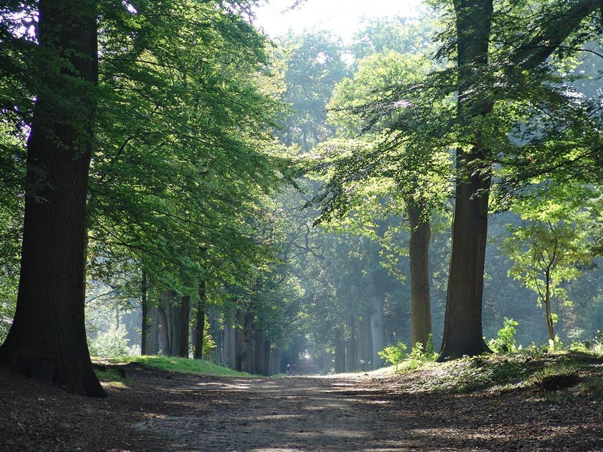 Luxe Safaritent Medley 5 Persoons Op Camping Rijsterbos Luaran gambar